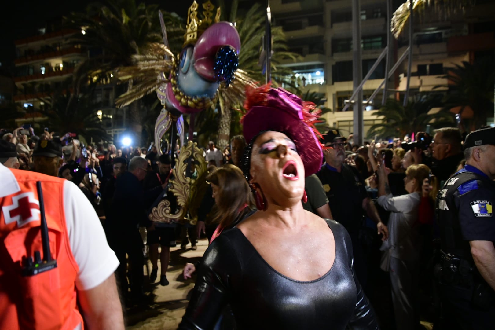 El entierro de la sardina, en imágenes