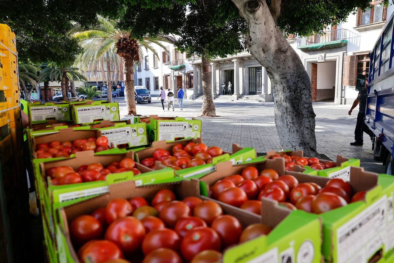 La tractorada toma la capital grancanaria en protesta por la situación del campo