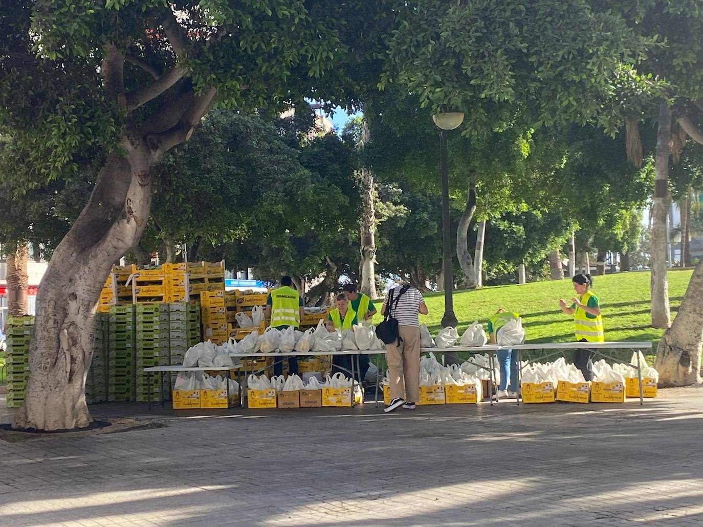 La tractorada toma la capital grancanaria en protesta por la situación del campo