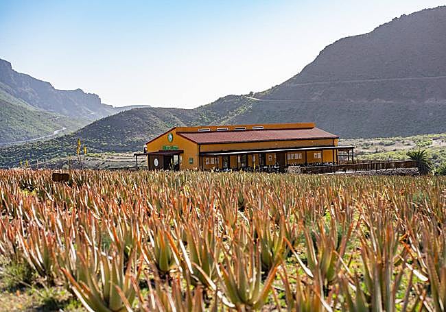 Otra de las fincas de la familia Lesmes.