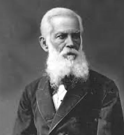 Doctor Domingo J. Navarro.