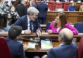 El presidente de Canarias, Fernando Clavijo, conversa con la consejera de Presidencia, Administraciones Públicas, Justicia y Seguridad, Nieves Lady Barreto.