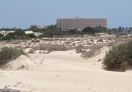 El hotel Oliva Beach y sus apartamentos, en Corralejo, en el municipio de La Oliva.