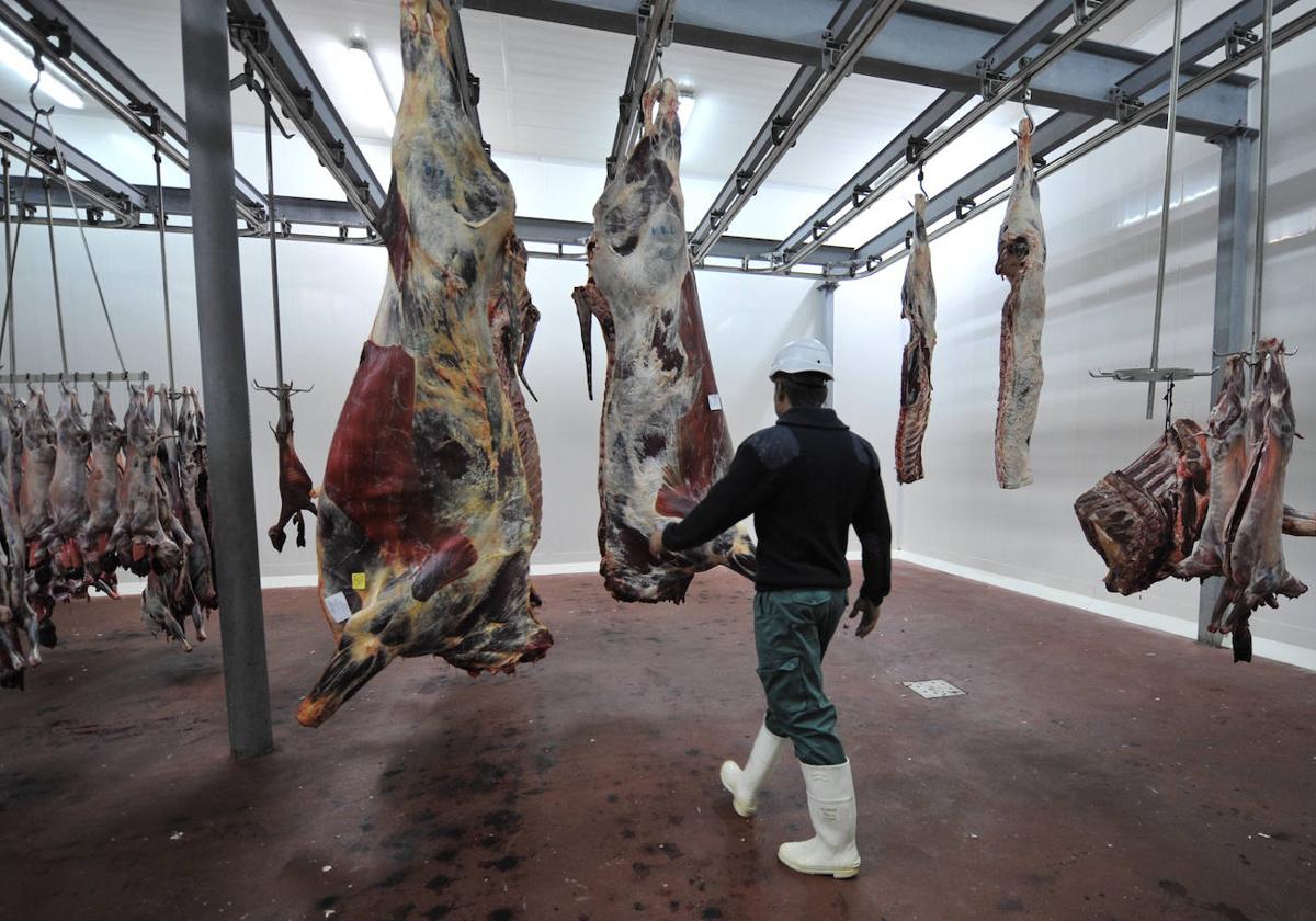 El conflicto entre el bienestar animal y el derecho a la libertad religiosa en Europa