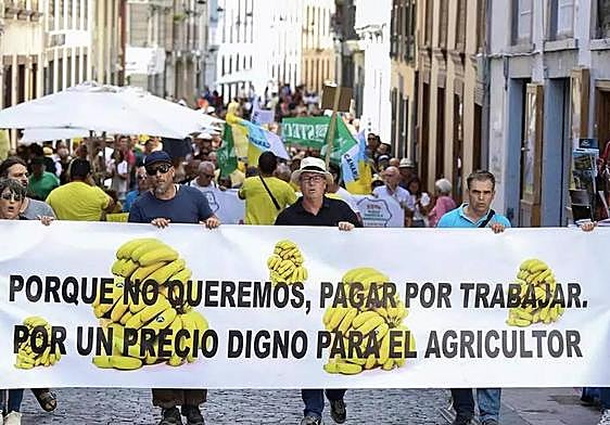 Imagen de archivo de movilizaciones del campo palmero en la capital de la isla.