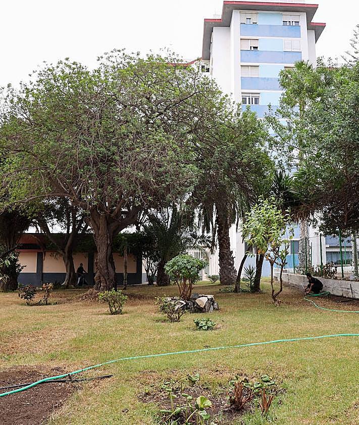 Imagen secundaria 2 - Los vecinos afirman que se han estropeado muchas especies y ahora costean un agua que dicen se garantizó, a cambio de unos terrenos que estaban en la parcela de la urbanización.