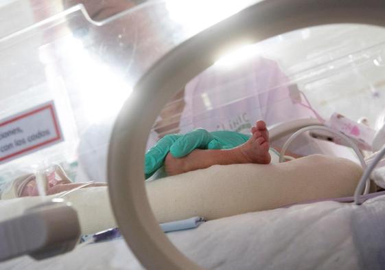 Imagen de archivo de un bebé prematuro en una UCI de un hospital barcelonés.