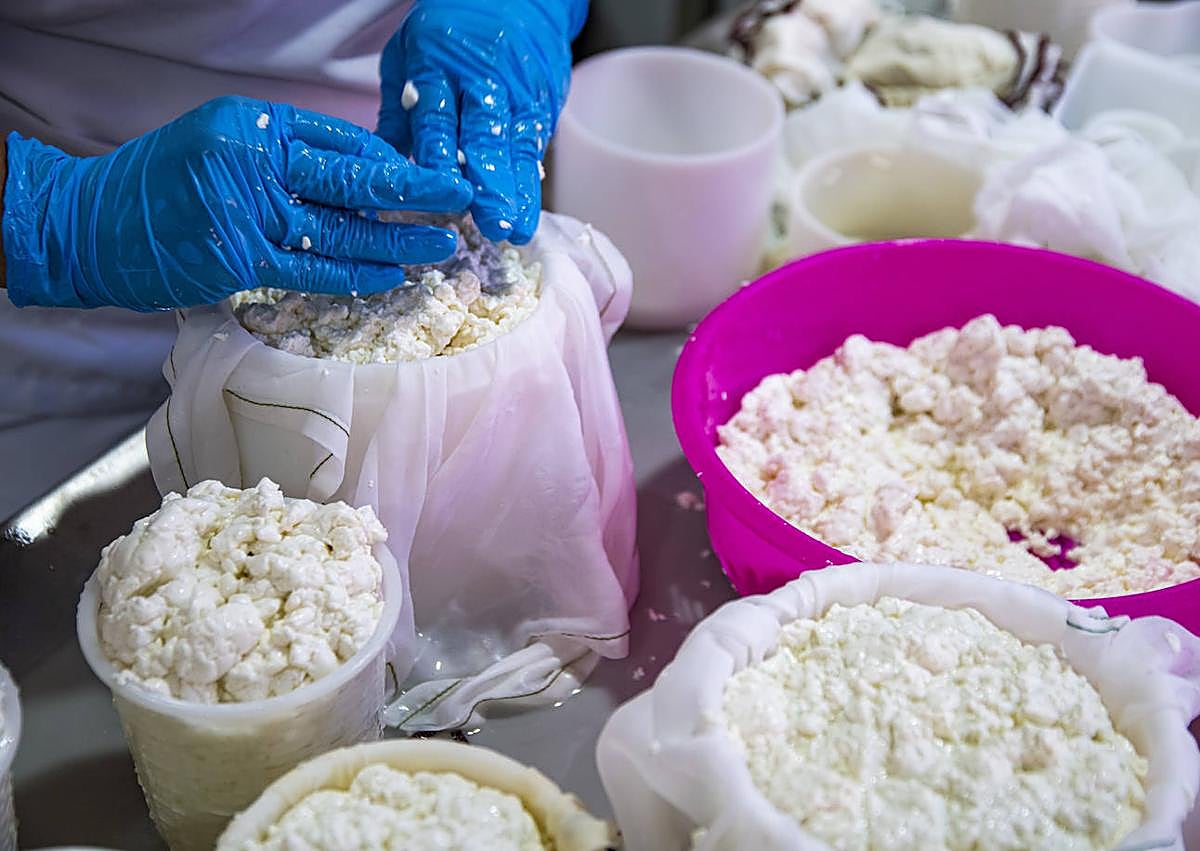 Imagen secundaria 1 - Proceso de elaboración del queso. / Arcadio Suárez