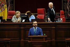 El diputado del grupo Mixto por Agrupación Herreña Independiente, Raúl Acosta.