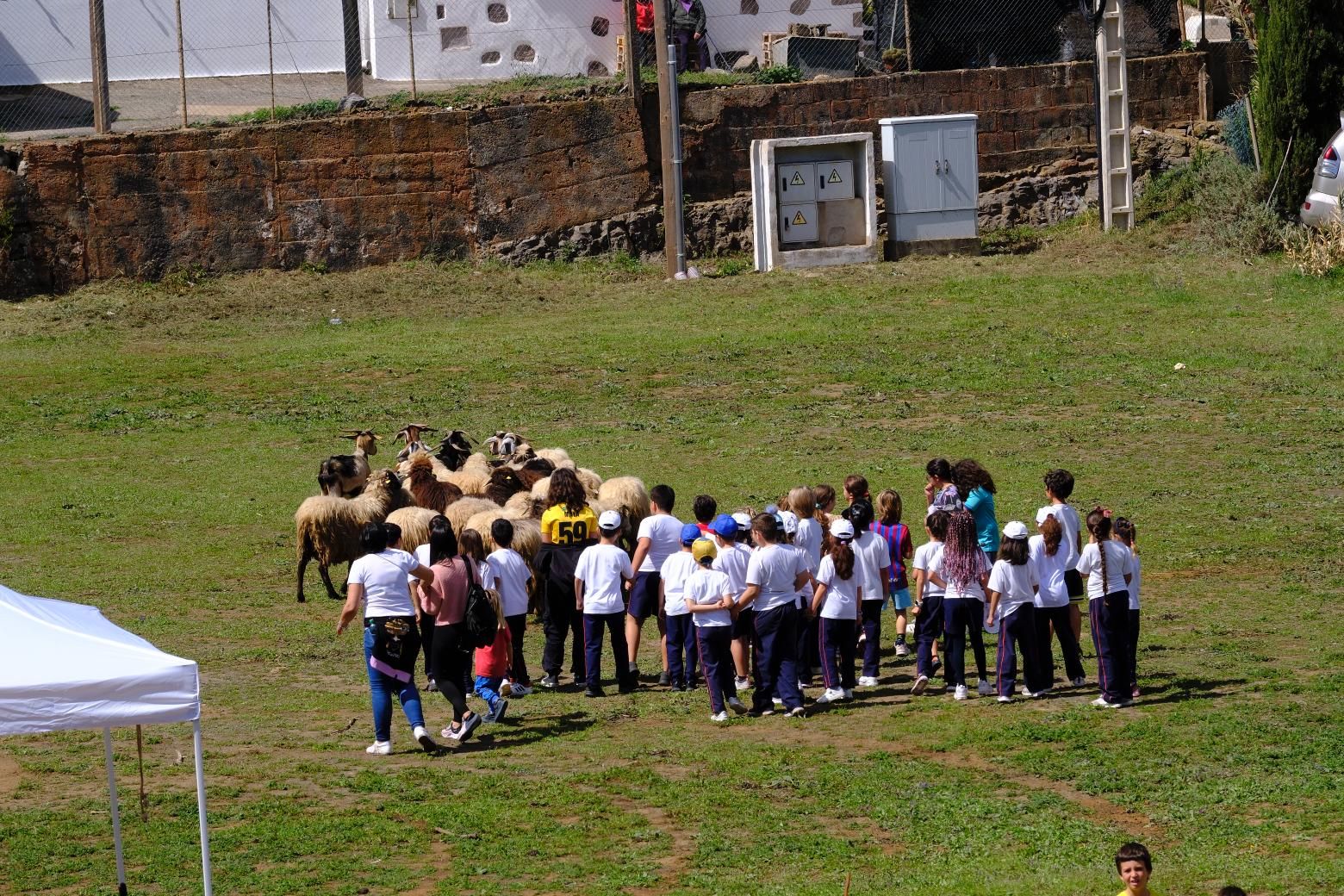 Más de 300 estudiantes conocen la vida rural