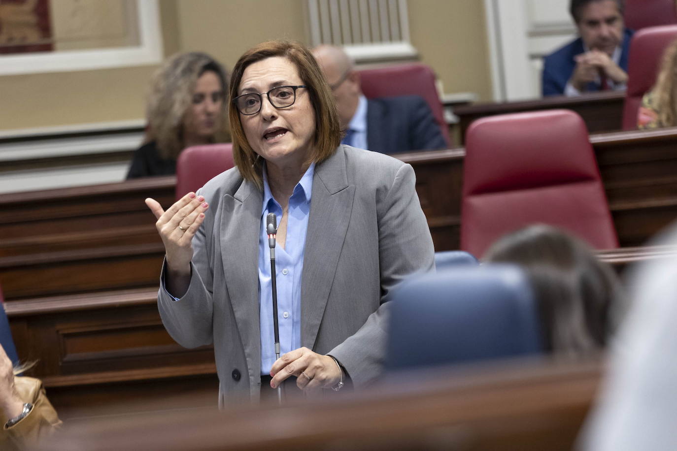 La consejera de Bienestar Social, Candelaria Delgado, durante su intervención en la cámara canaria.