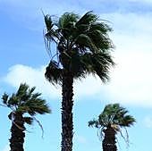 Se acerca la Dana a Canarias con lluvias, nieve y fuertes rachas de viento