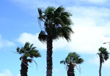 Se acerca la Dana a Canarias con lluvias, nieve y fuertes rachas de viento