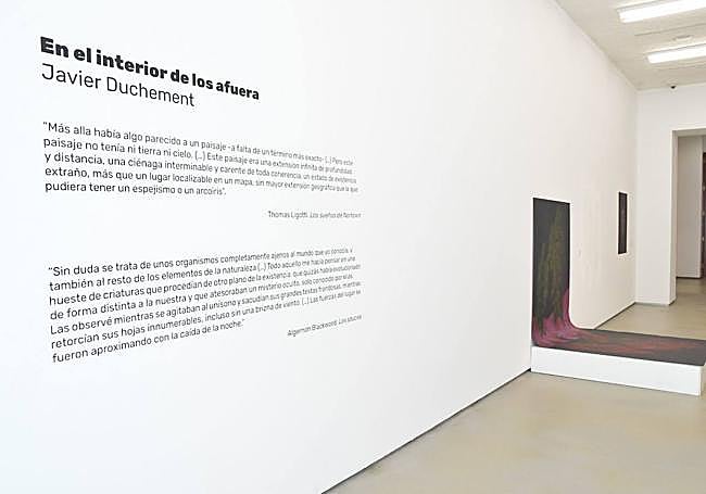 Otra imagen de la exposición.