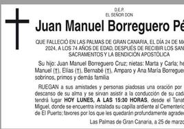 Juan Manuel Borreguero Pérez