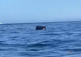 Captura de uno de los vídeos en la que puede verse el coche en medio del mar.