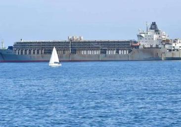 'El barco de la peste' llega a las Palmas de Gran Canaria con un intenso olor