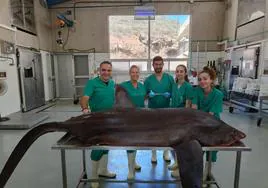 Ayoze Castro, María José Caballero, Gustavo Montero, Lucía Caballero y Eva Montesdeoca, en la necropsia.