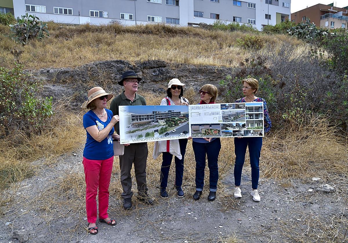Miembros de la cooperativa El Ciempiés, en el solar de Arucas.