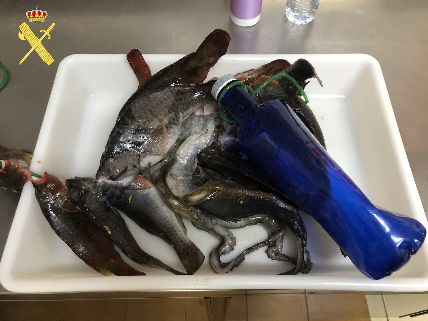 Pesca furtiva en Radazul.