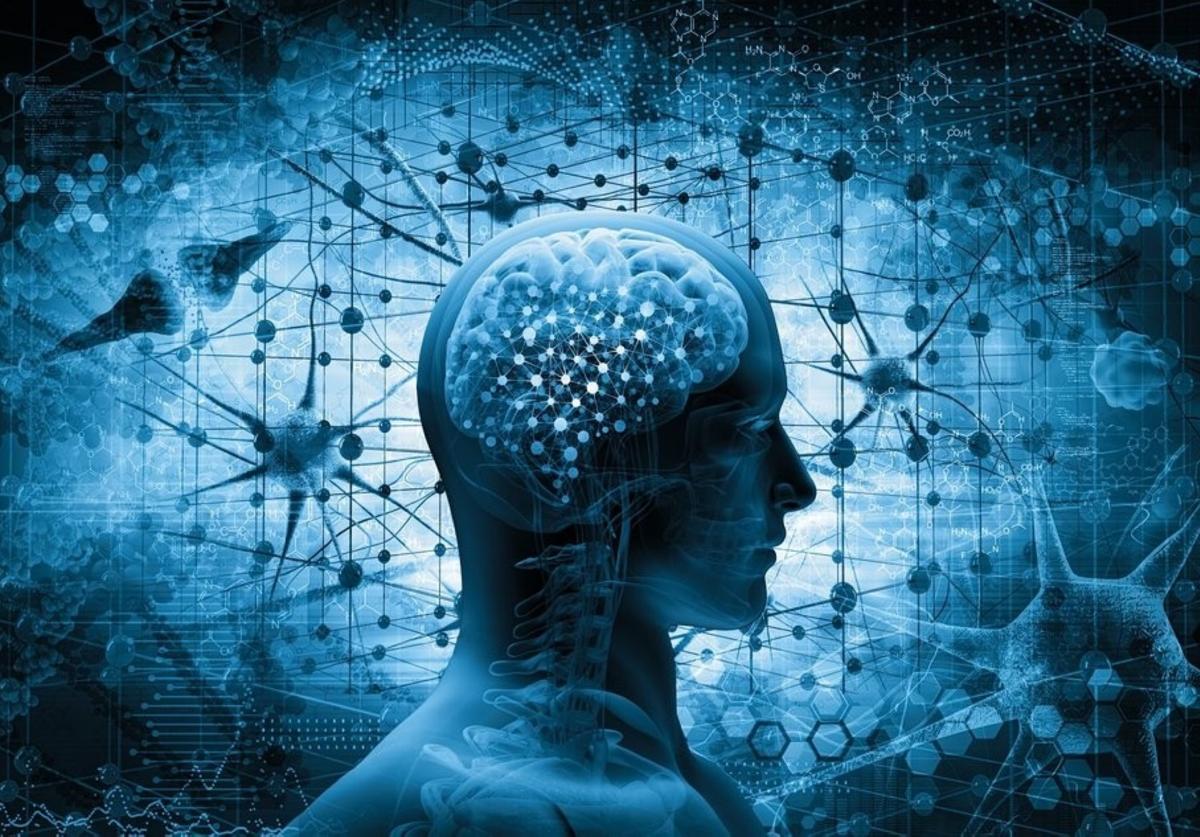 Neuronas y el complejo funcionamiento del cerebro | Canarias7