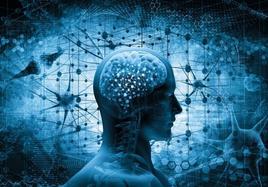 Neuronas y el complejo funcionamiento del cerebro