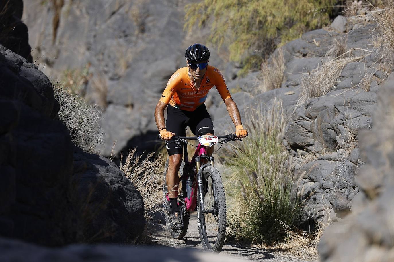 Día Internacional del Deporte para el Desarrollo y la Paz