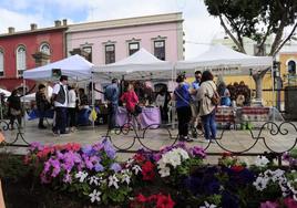 Imagen de archivo de la Feria del Queso de Gáldar.