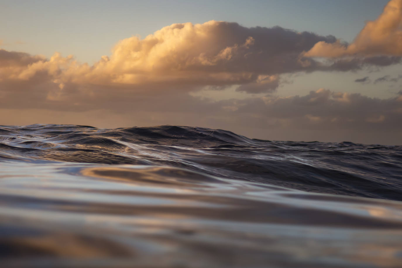 Una exposición itinerante sobre Las Canteras nos invita a descubrir su fondo marino