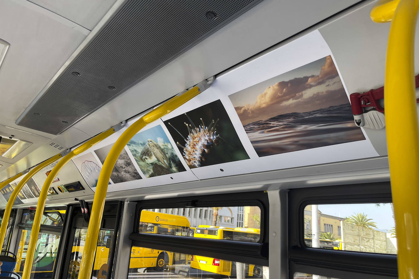 Una exposición itinerante sobre Las Canteras nos invita a descubrir su fondo marino