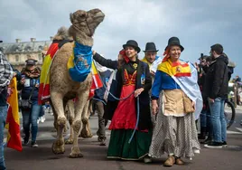 Dromemilk Camel Bio Farm portaba la bandera española y la canaria en el cuello,