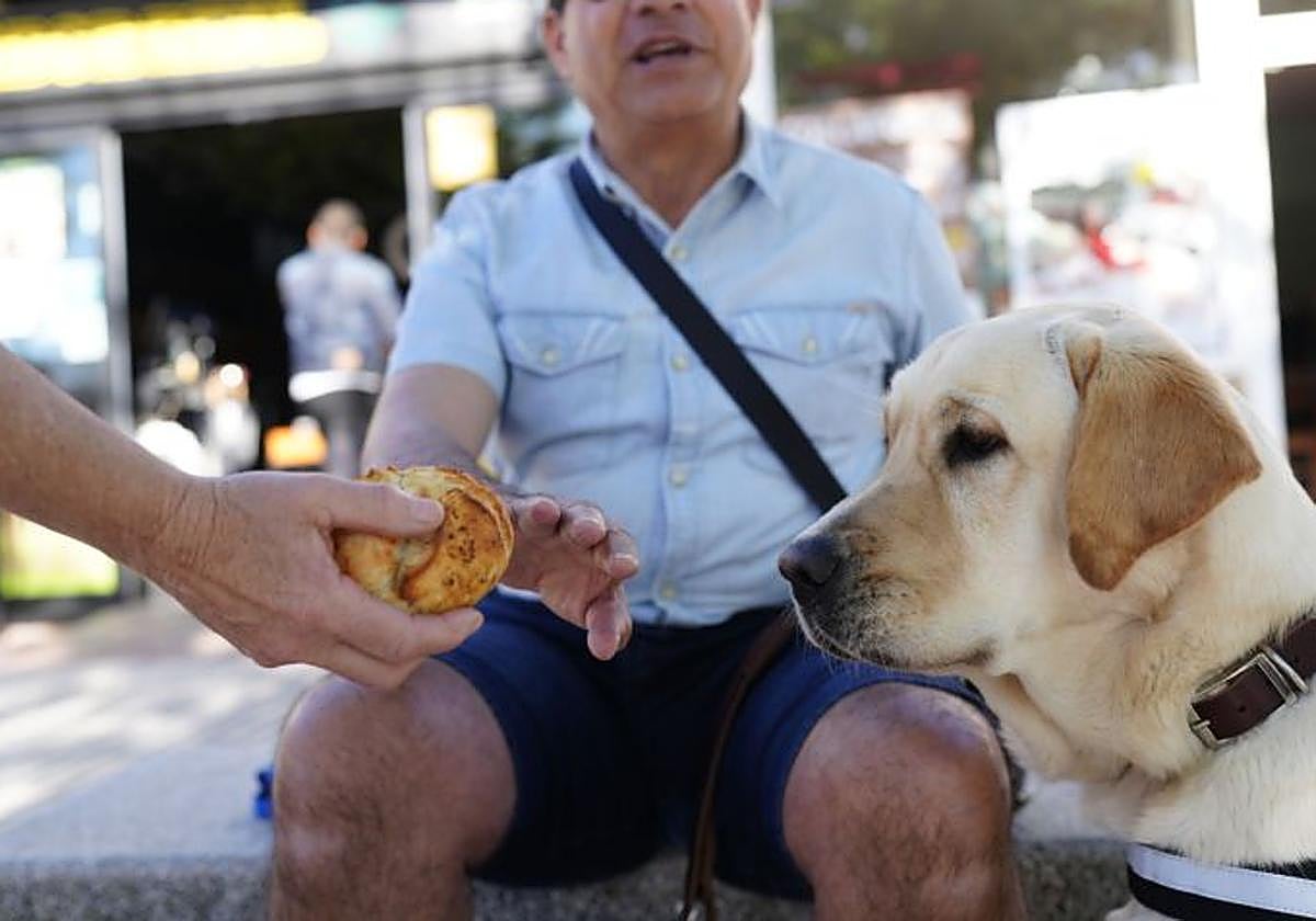 La ONCE en Canarias pide evitar distracciones con alimentos a los perros guía