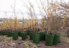 HiperDino aprueba su Política Medioambiental y la integra en su estrategia, inversiones y operaciones