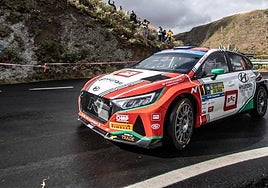 Hayden Paddon, vigente campeón, saldrá con el número uno.