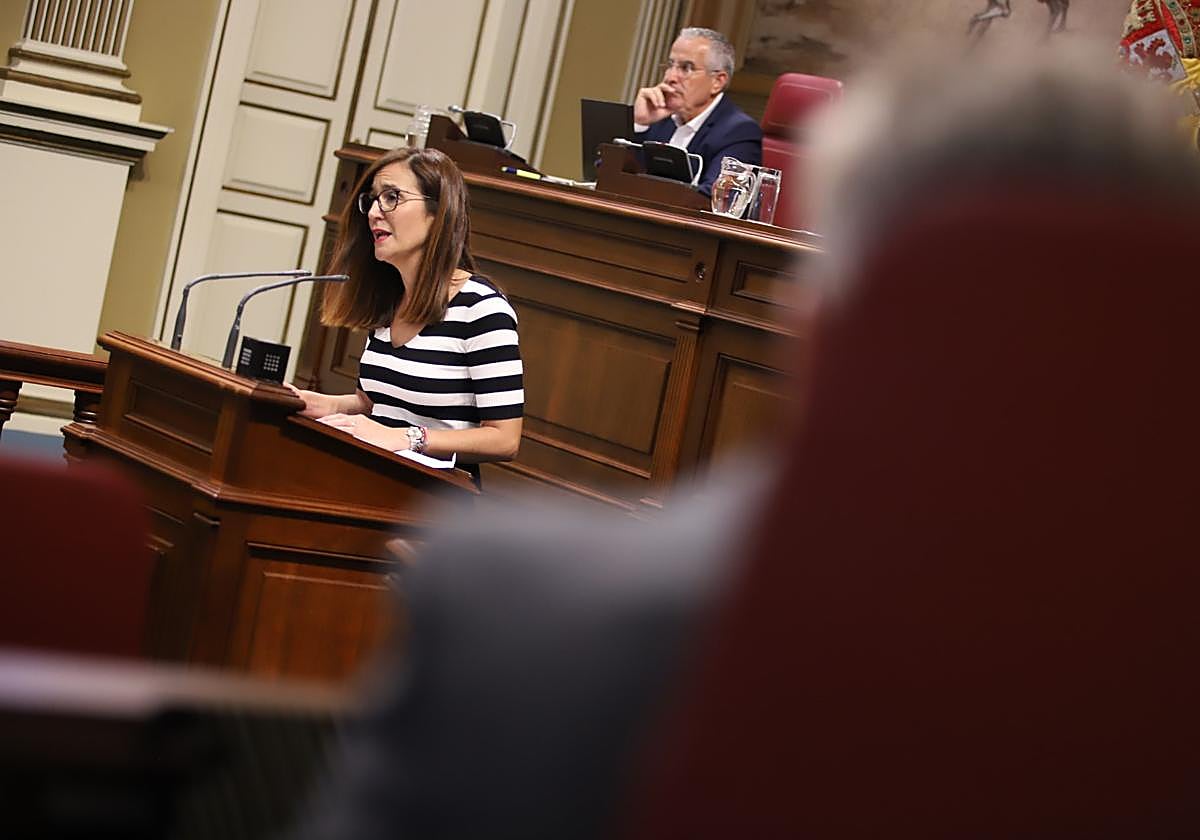 Natalia Santana, parlamentaria de NC, con Mario Cabrera, parlamentario y secretario insular de CC.