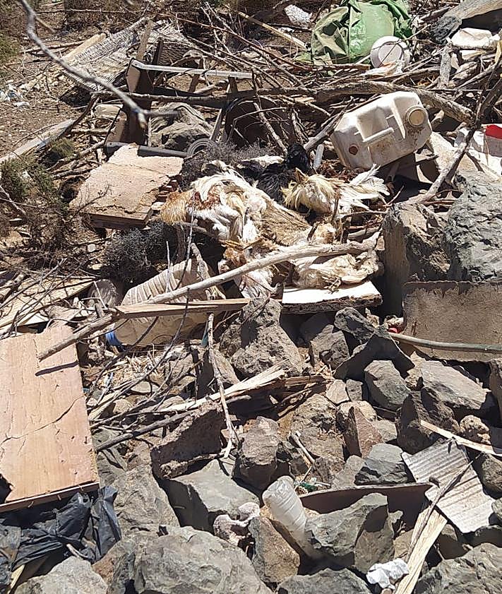 Imagen secundaria 2 - Distintas imágenes de la basura hallada durante el desalojo de parte de los corrales que había en la Loma de Pino Seco.