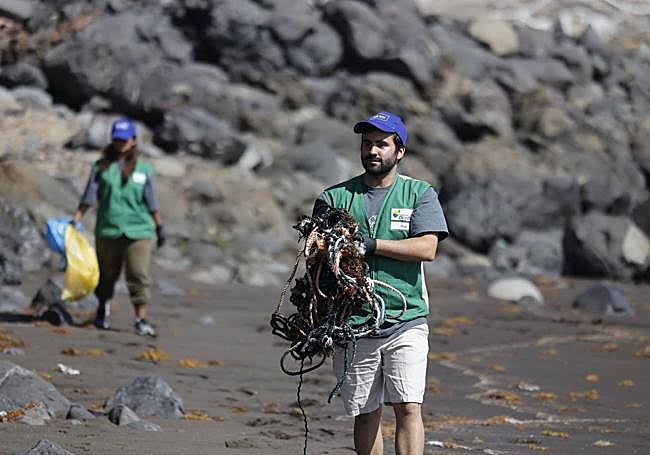 Voluntarios en el momento de la acción en la playa de San Borondón (Telde).