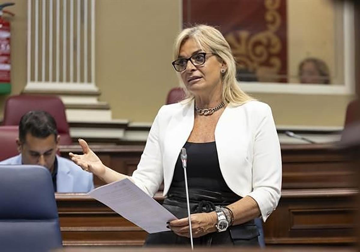 Imagen de archivo de una comparecencia de la consejera en la sesión de control del Parlamento canario.