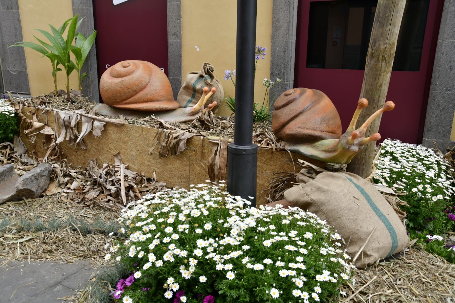 Arucas ya presume de piedra y flor