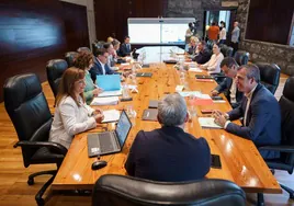 Imagen de la reunión del Consejo de Gobierno de este lunes.