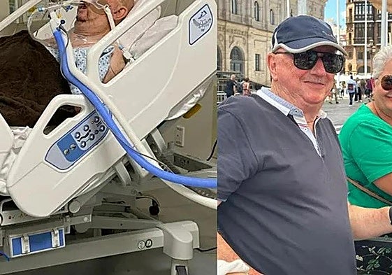 Fallece el canario hospitalizado en México: «Agradecemos el apoyo en estas tristes semanas»