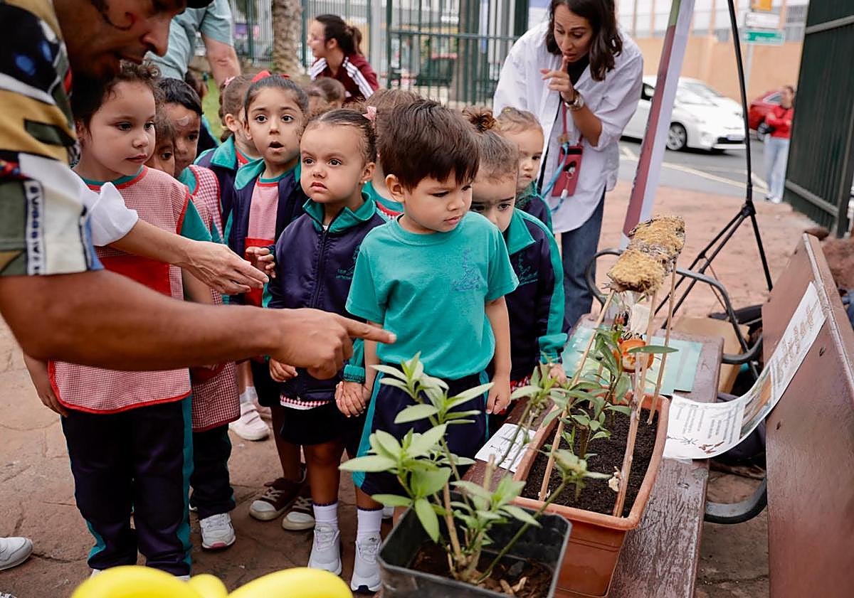 Imagen principal - Monarcas en la ciudad de las mariposas