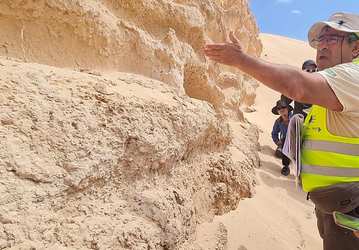 Ramón Casillas, catedrático de la Universidad de La Laguna, explica las rizoconcreciones o moldes de raíces de plantas fosilizadas en el itinerario del Geolodía 2024.