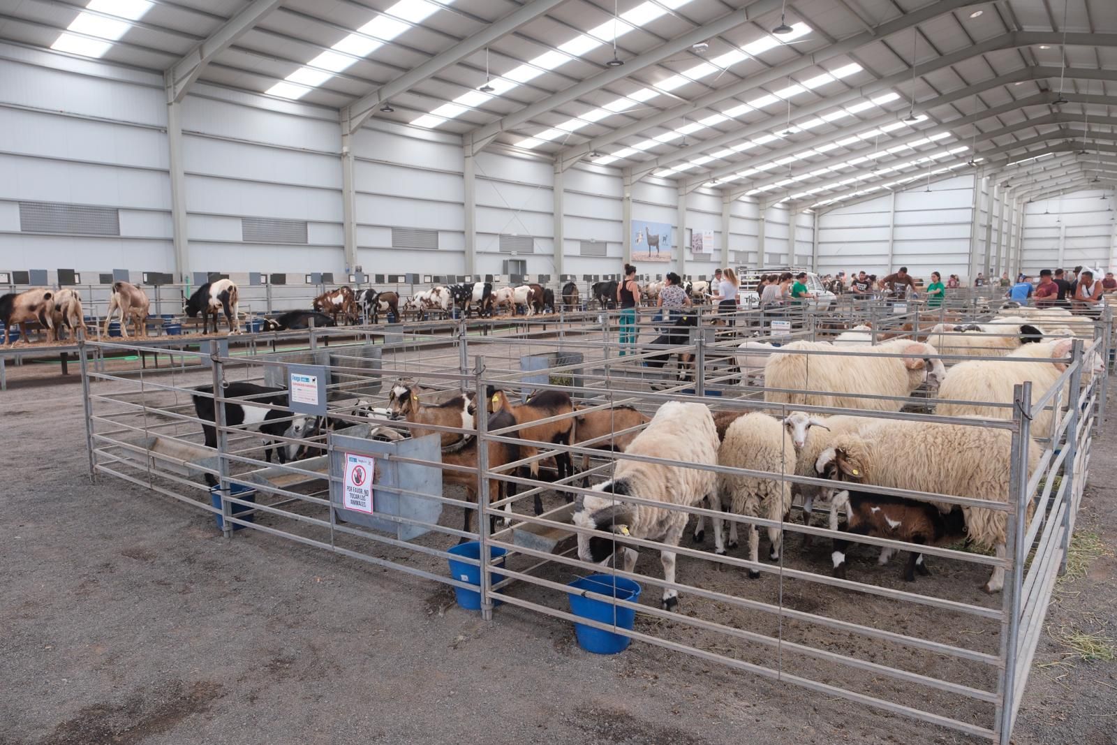 La inauguración de Feaga 2024, en imágenes