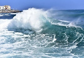 Conservación del Océano: Desafío 30/30