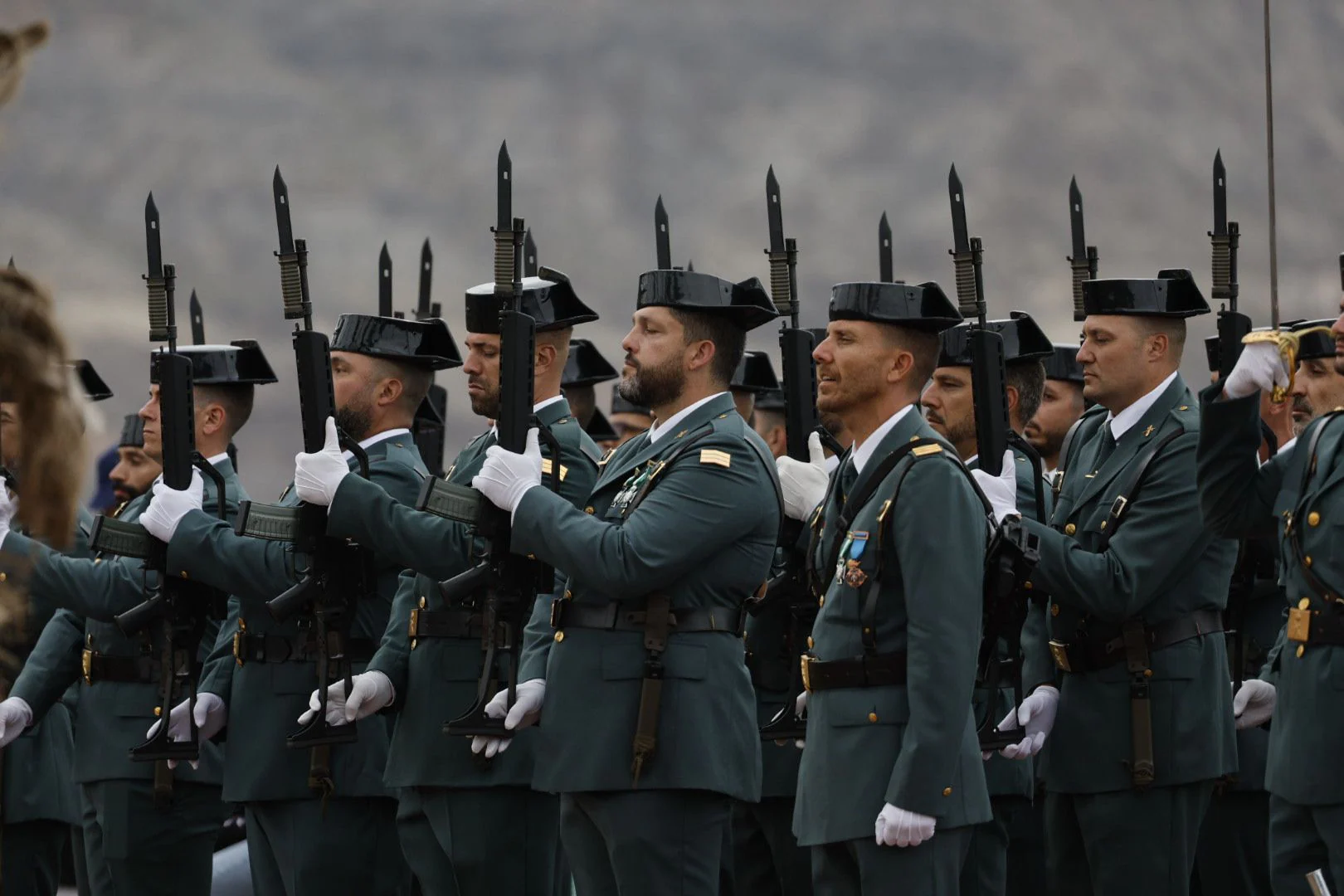 El desfile de las Fuerzas Armadas, en imágenes Canarias7