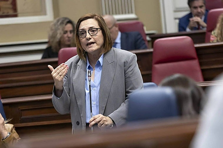 La consejera de Bienestar Social, Candelaria Delgado, durante su intervención en la cámara canaria.