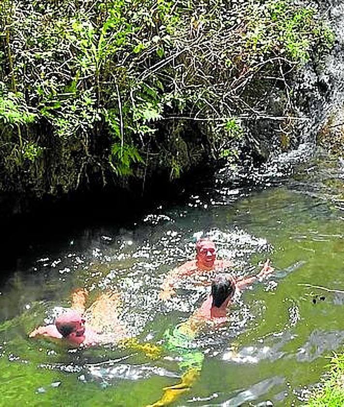Imagen secundaria 2 - Barranco de Azuaje: naturaleza salvaje entre laurisilva y agua