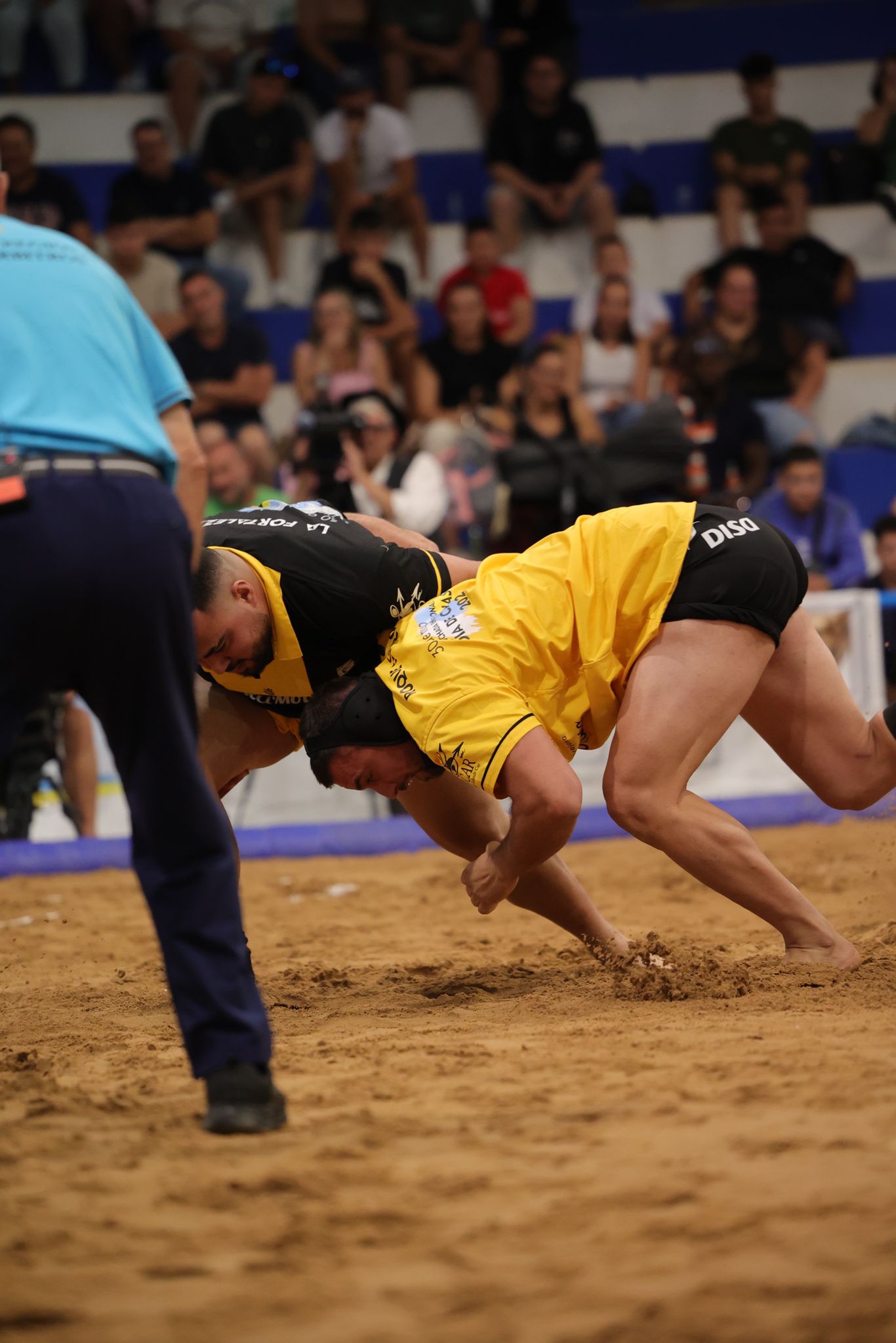 Las imágenes de la gran fiesta de la Luchada Institucional en Vecindario