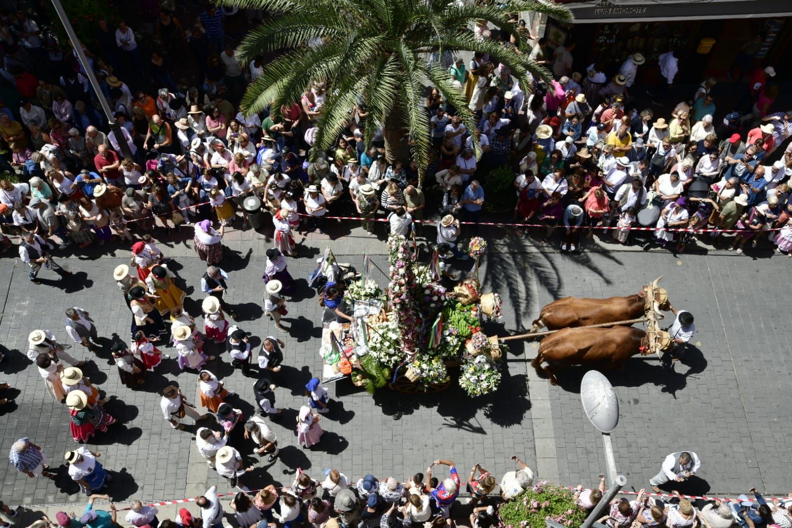 El Paseo Romero conquista Santa Catalina